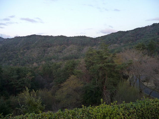 福田