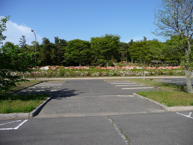 野呂山