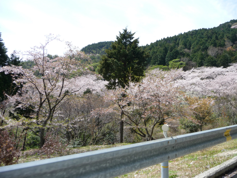 野呂山