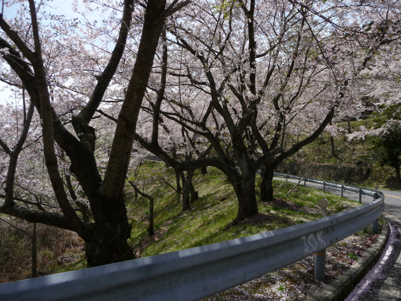 野呂山