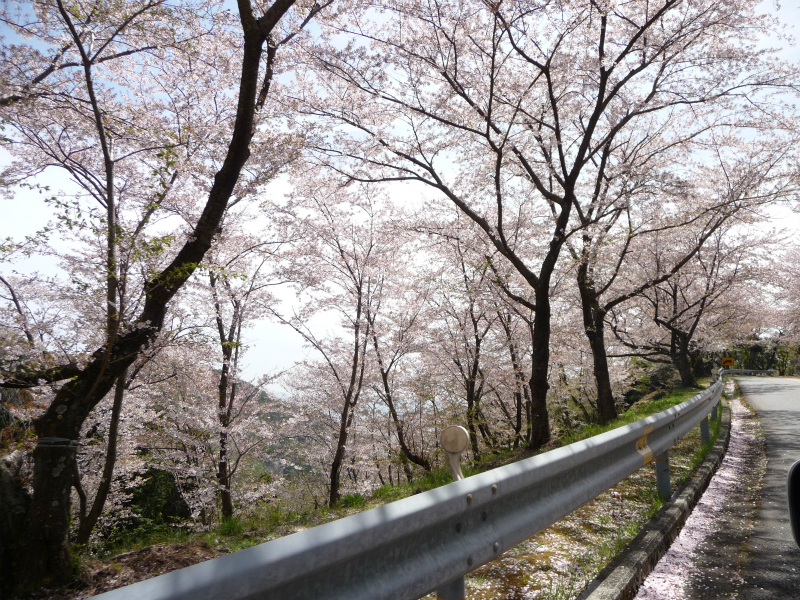 野呂山