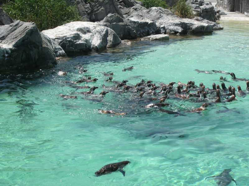 葛西臨海公園