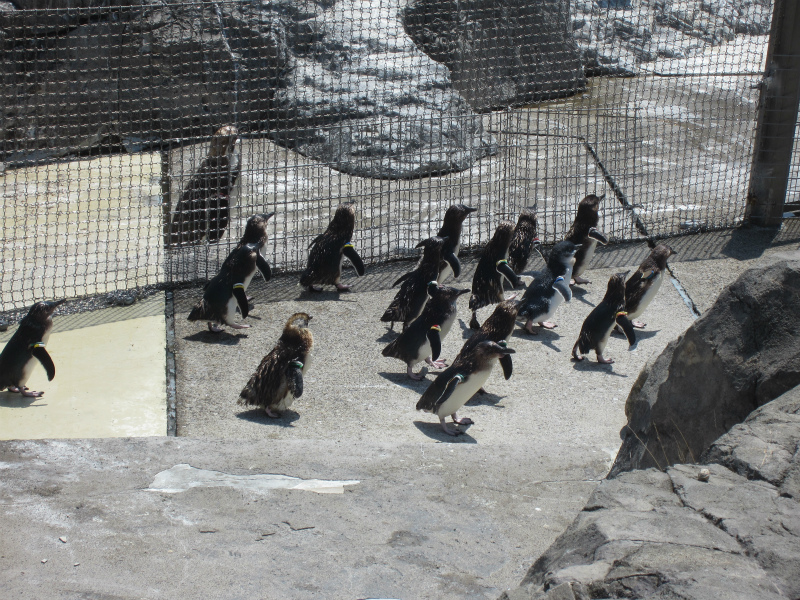 葛西臨海公園