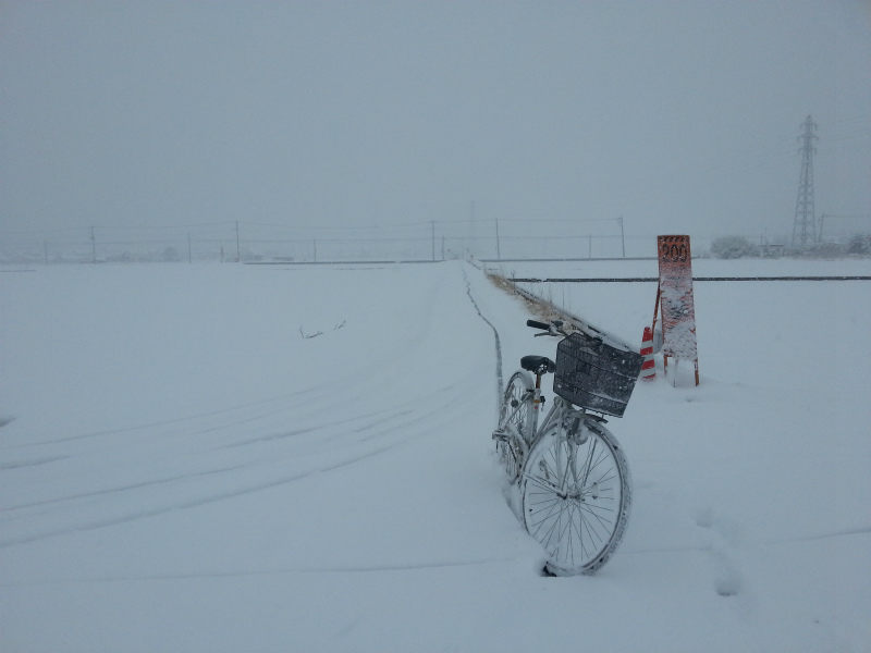 関東豪雪