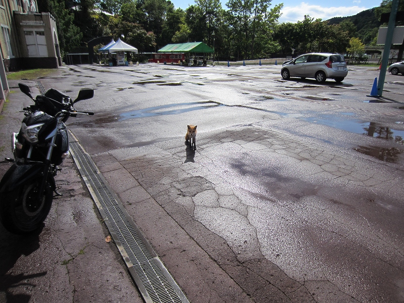 北海道ツーリング